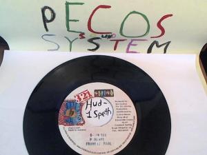 Hud-2 vinyl photos 1632