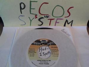 Hud-2 vinyl photos 1651