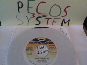 Hud-2 vinyl photos 1654