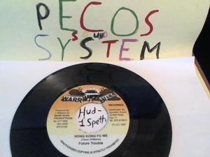 Hud-2 vinyl photos 1662