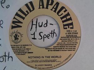 Hud-2 vinyl photos 1667