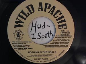 Hud-2 vinyl photos 1678