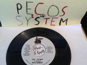 Hud-2 vinyl photos 1690