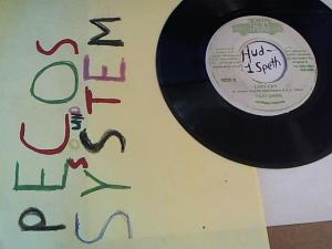 Hud-2 vinyl photos 171