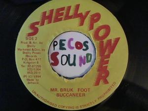 Hud-2 vinyl photos 2059