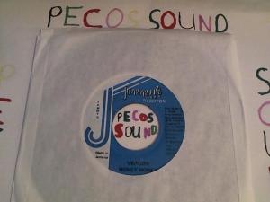 Hud-2 vinyl photos 2176