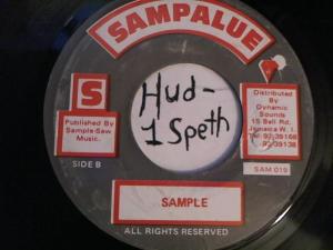 Hud-2 vinyl photos 2202
