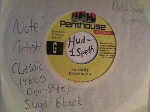 Hud-2 vinyl photos 2220