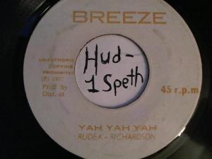 Hud-2 vinyl photos 2228