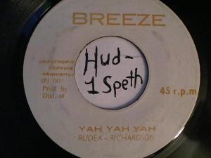 Hud-2 vinyl photos 2229