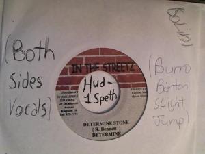 Hud-2 vinyl photos 2259