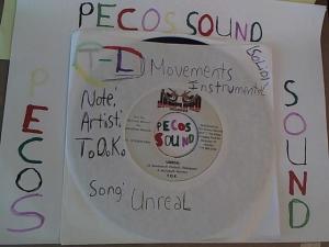 Hud-2 vinyl photos 2292