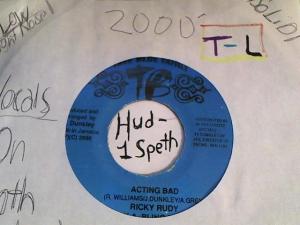 Hud-2 vinyl photos 2312