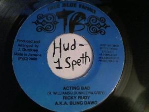 Hud-2 vinyl photos 2313