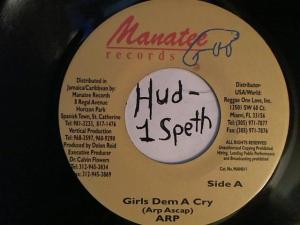 Hud-2 vinyl photos 2330