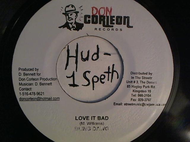 Hud-2 vinyl photos 2335