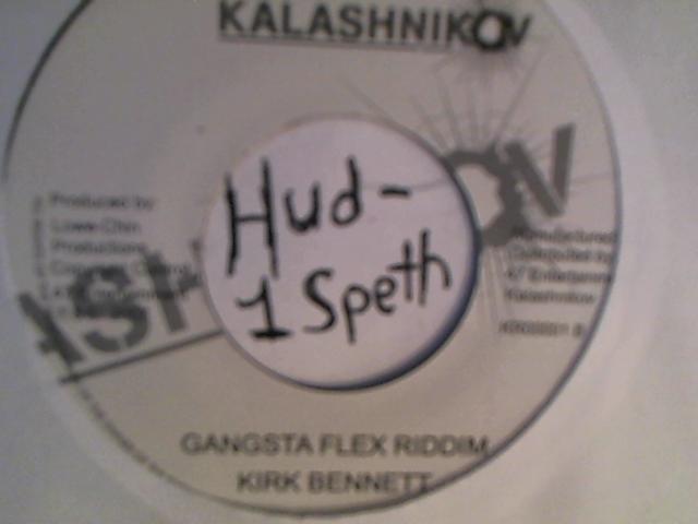 Hud-2 vinyl photos 2338