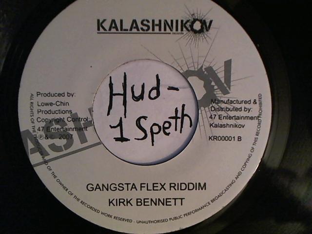 Hud-2 vinyl photos 2339