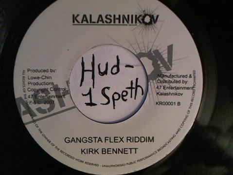 Hud-2 vinyl photos 2339