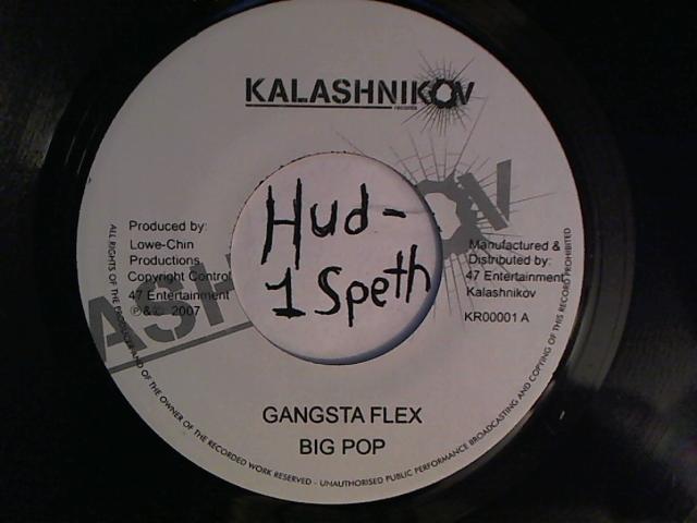 Hud-2 vinyl photos 2340