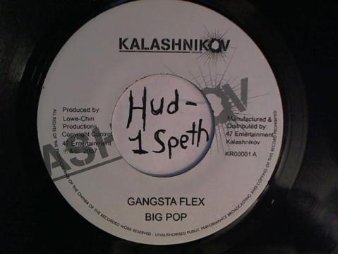 Hud-2 vinyl photos 2340