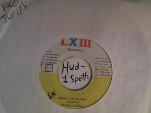 Hud-2 vinyl photos 2341