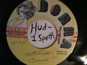 Hud-2 vinyl photos 2385
