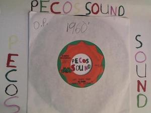 Hud-2 vinyl photos 2426