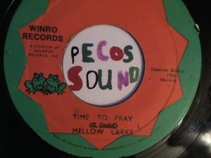 Hud-2 vinyl photos 2431