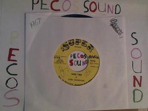 Hud-2 vinyl photos 2462