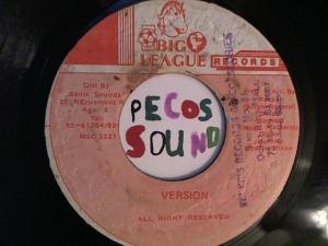 Hud-2 vinyl photos 2480