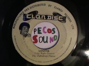 Hud-2 vinyl photos 2490