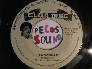 Hud-2 vinyl photos 2491