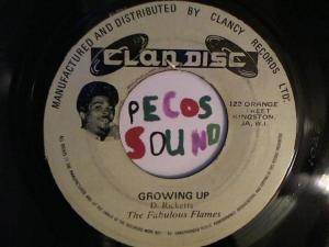 Hud-2 vinyl photos 2492