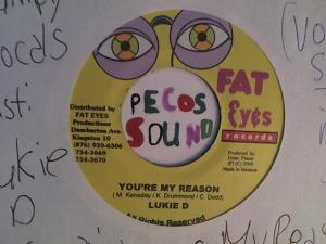 Hud-2 vinyl photos 2523