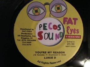 Hud-2 vinyl photos 2525