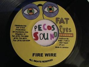 Hud-2 vinyl photos 2602