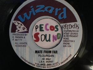 Hud-2 vinyl photos 2606