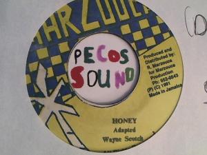 Hud-2 vinyl photos 2612