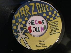 Hud-2 vinyl photos 2613