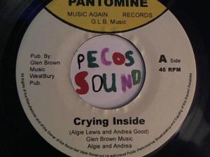 Hud-2 vinyl photos 2621