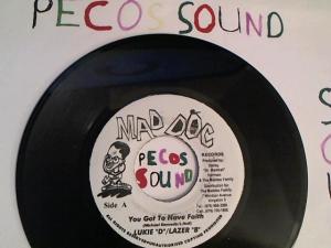 Hud-2 vinyl photos 2640