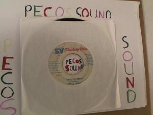 Hud-2 vinyl photos 2698