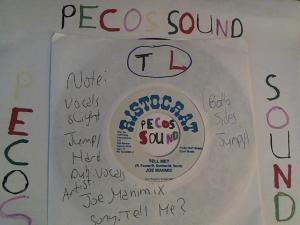 Hud-2 vinyl photos 2745