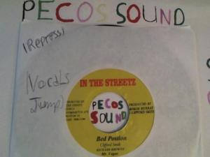 Hud-2 vinyl photos 2785