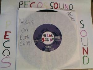 Hud-2 vinyl photos 2796