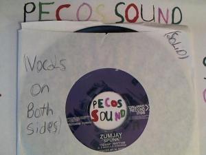 Hud-2 vinyl photos 2797