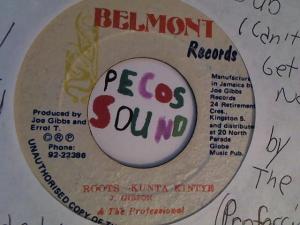 Hud-2 vinyl photos 2822