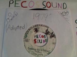 Hud-2 vinyl photos 2833