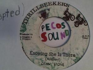 Hud-2 vinyl photos 2834